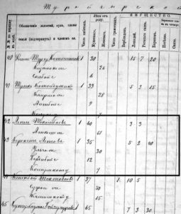 Фрагмент журнала 1885 г. записи хозяйства прапрадеда Ташкула ага - Лепеса Токомбаева 1825 г. р. и прадеда Керексиза Лепесова 1850 г. р.